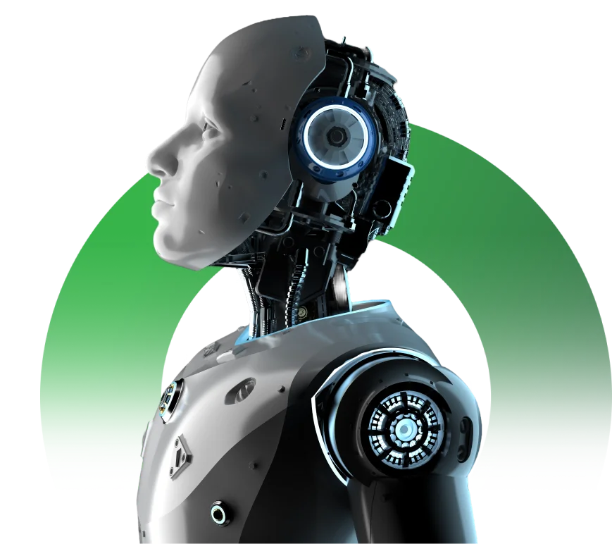 ban-img custom software development company