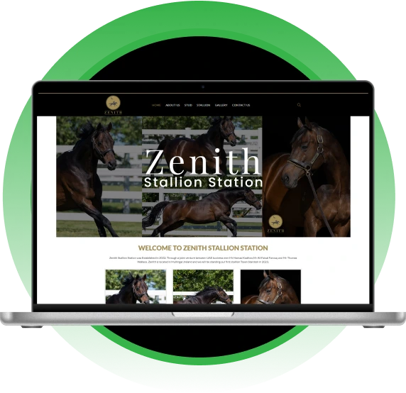 portfolio4 Software Development Services